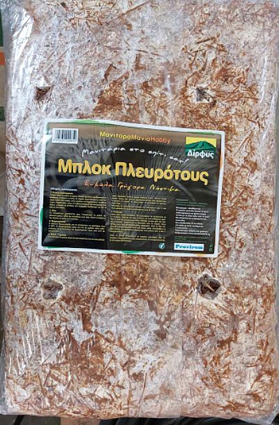 ΜΠΛΟΚ ΠΛΕΥΡΟΤΟΥΣ 66Lt