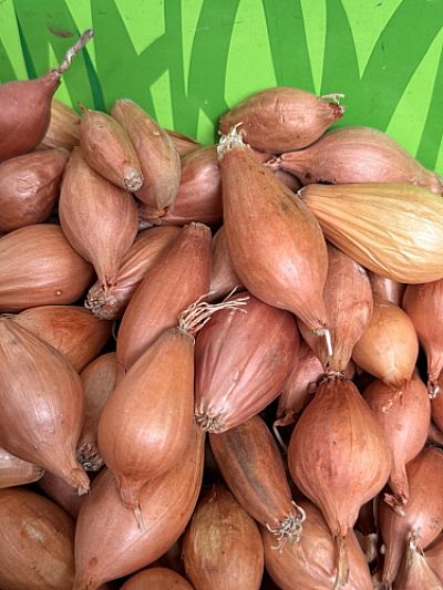 ΚΟΚΚΑΡΙ ΨΙΛΟ 14/21 ΘΕΣΠΙΩΝ 1Kg