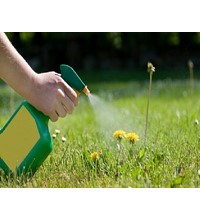HERBICIDE