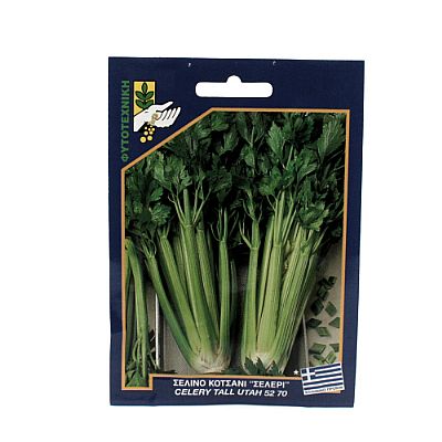 CELERY TALL UTAH 52 70