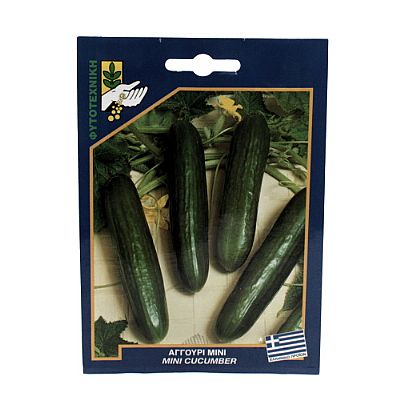 MINI CUCUMBER