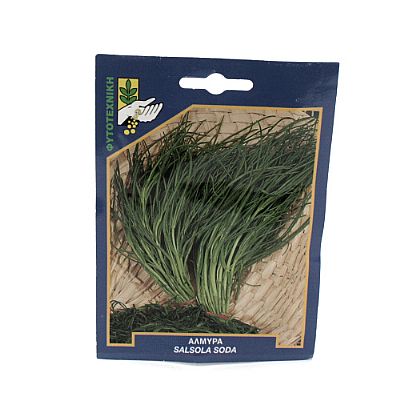 SALSOLA SODA SEEDS