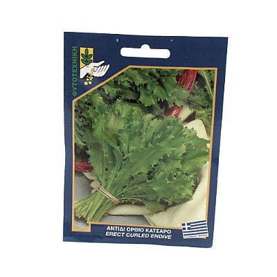 ERECT CURLED ENDIVE SEEDS