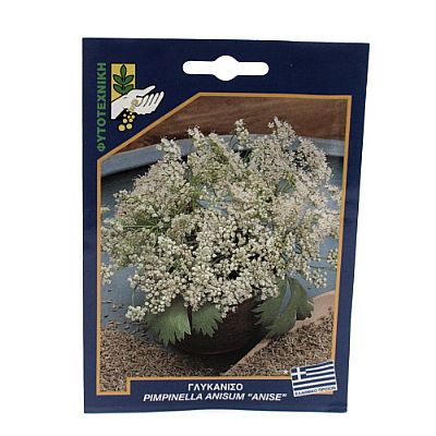 PIMPINELLA ANISUM 