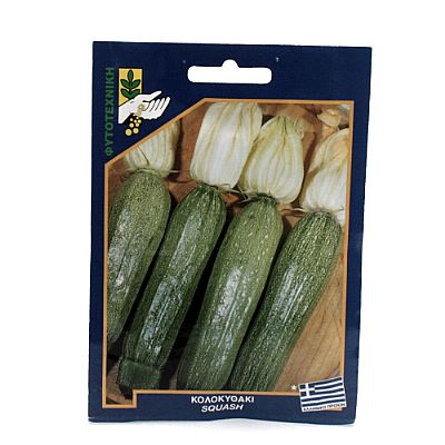 SQUASH SEEDS