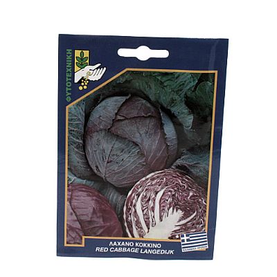 RED CABBAGE LANGEDIJK