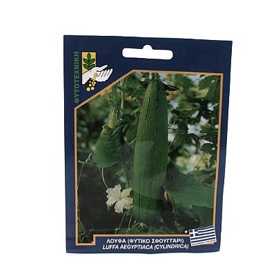 LUFFA AEGYPTIACA (CYLINDRICA) SEEDS