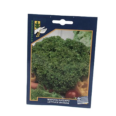 LETTUCE BATAVIA SEEDS