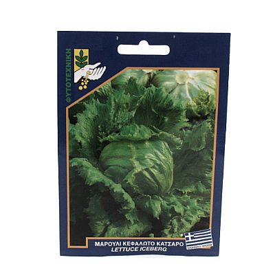 LETTUCE ICEBERG SEEDS