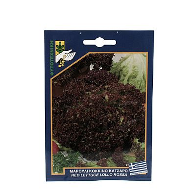 RED LETTUCE LOLLO ROSA SEEDS