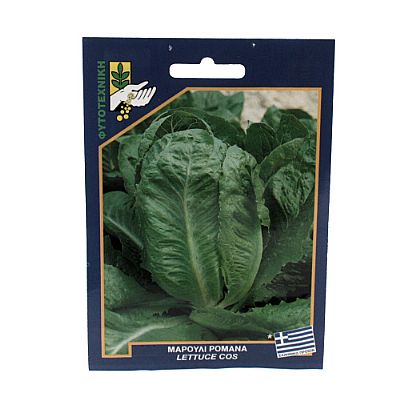 LETTUCE COS SEEDS