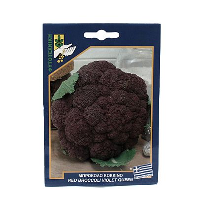 RED BROCCOLI VIOLET QUEEN SEEDS
