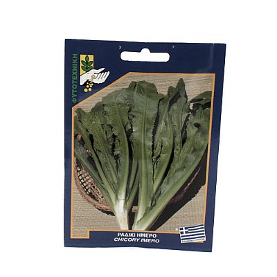 CHICORY IMERO SEEDS