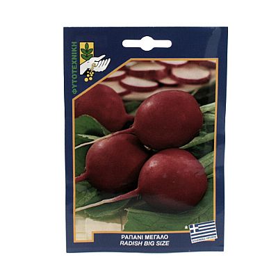 RADISH BIG SIZE SEEDS