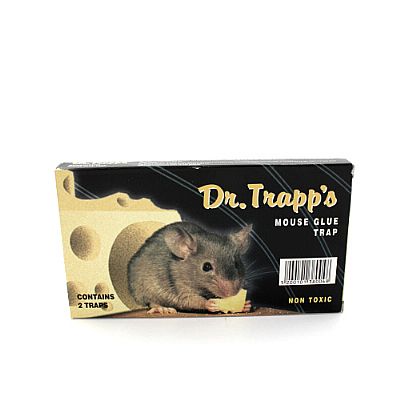 DR. TRAPP'S ΠΟΝΤΙΚΟΠΑΓΙΔΑ ΜΕ ΚΟΛΛΑ ΜΙΚΡΟ ΜΕΓΕΘΟΣ