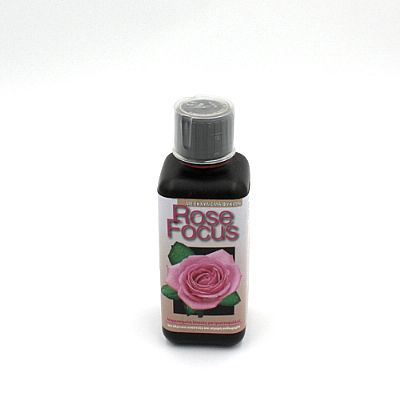 ROSE FOCUS 300ml