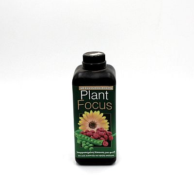 PLANT FOCUS 1Lt