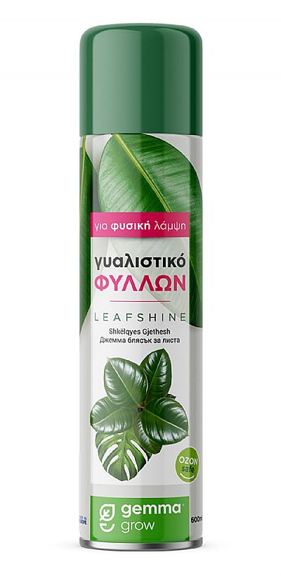 ΓΥΑΛΙΣΤΙΚΟ ΦΥΛΛΩΝ 600ml
