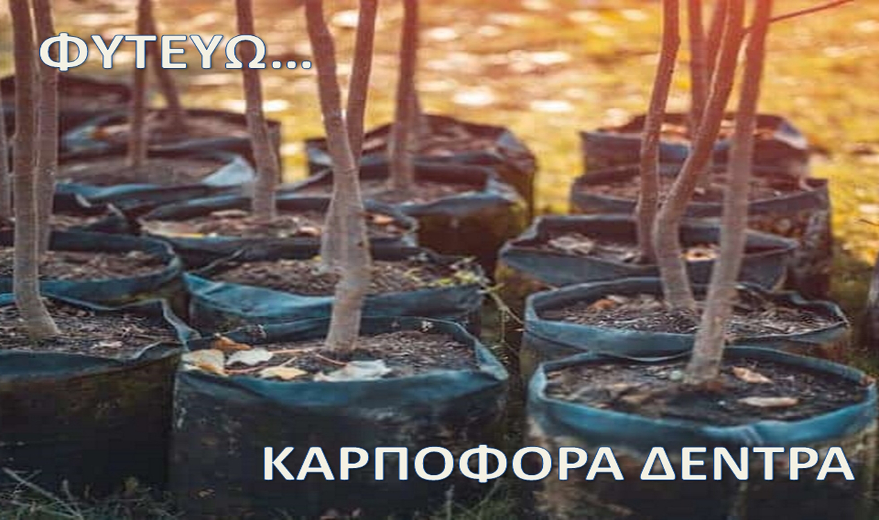 ΚΑΡΠΟΦΟΡΑ ΔΕΝΤΡΑ